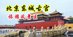 扒开18岁粉嫩小泬jk白虎中国北京-东城古宫旅游风景区